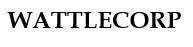 WATTLECORP — UAE trademark, Class 42, No. 469166