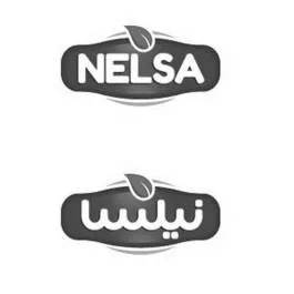 NELSA نيلسا