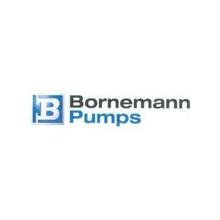 B Bornemann pumps