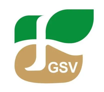 GSV — UAE trademark, Class 42, No. 470729