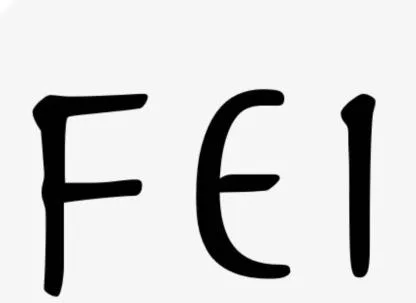 FEI — UAE trademark, Class 14, No. 476490