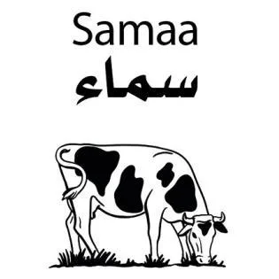 Samaa سماء رسم