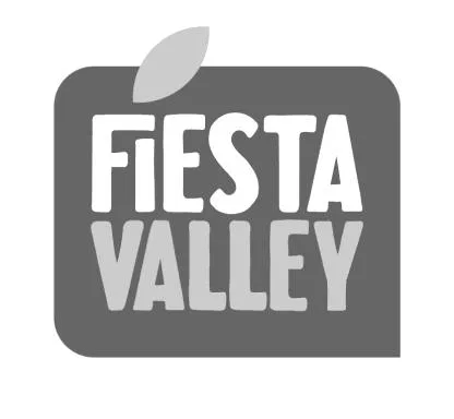 FIESTA VALLEY — UAE trademark in Class 30