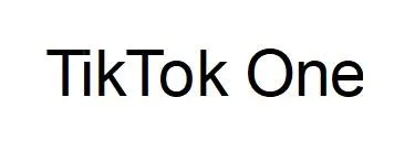 TikTok One