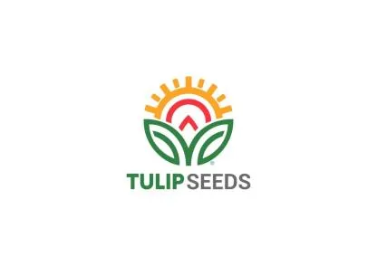 tulip seeds