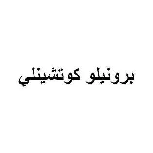 برونيلو كوتشينلي