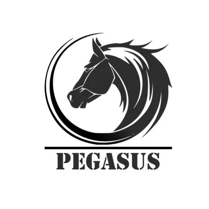 PEGASUS