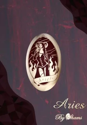 ARIES BY SHAMS