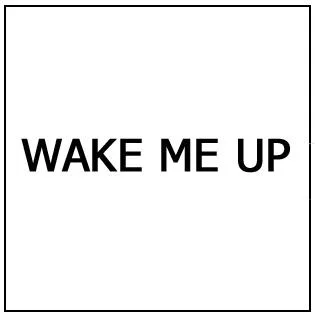 WAKE ME UP