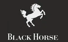 BLACK HORSE — UAE trademark in Class 11