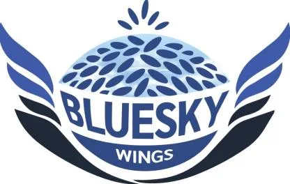 BLUESKY WINGS — UAE trademark in Class 30