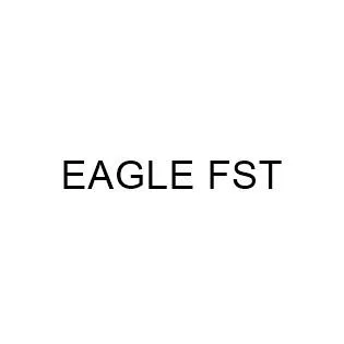 EAGLE FST — UAE trademark, Class 12, No. 487987