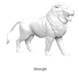 Strength