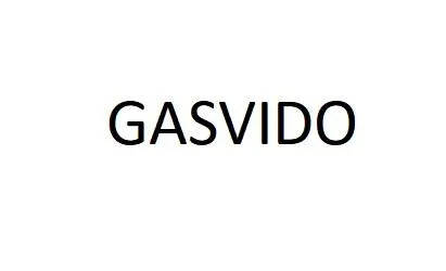 GASVIDO — UAE trademark, Class 12, No. 486929