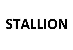 STALLION