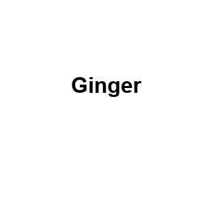 Ginger — UAE trademark, Class 12, No. 491558