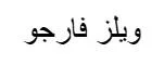 ويلز فارجو — UAE trademark, Class 36, No. 488577