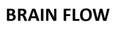 BRAIN FLOW — UAE trademark in Class 42