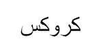 كروكس