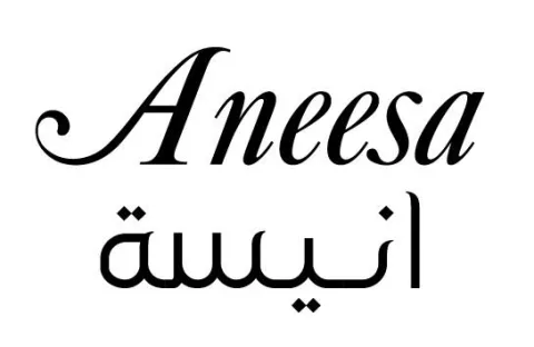 Aneesa انيسة