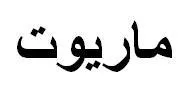 ماريوت