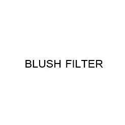 BLUSH FILTER — UAE trademark in Class 3