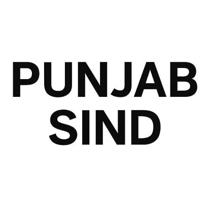 PUNJAB SIND — UAE trademark, Class 29, No. 458255