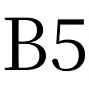 B5