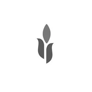 رسم — UAE trademark, Class 3, No. 488324