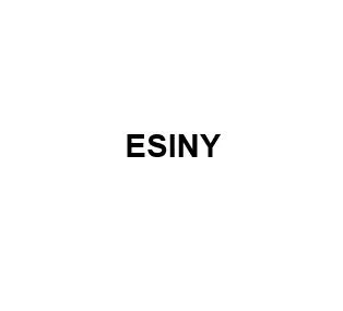 ESINY — UAE trademark, Class 44, No. 475903