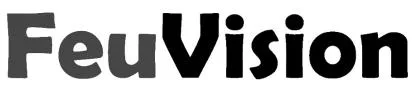 FeuVision