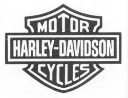 MOTOR HARLEY- DAVIDSON CYCLES