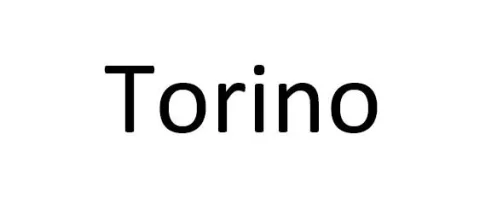 TORINO
