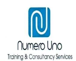 numero Uno Training & Consultancy services
