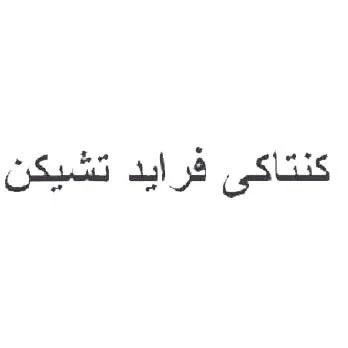 كنتاكي فرايد تشيكن