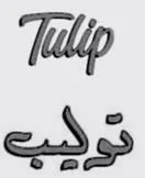توليب Tulip