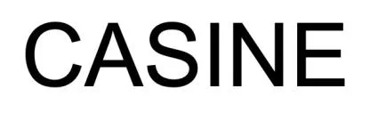 CASINE