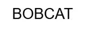 BOBCAT — UAE trademark, Class 42, No. 490244