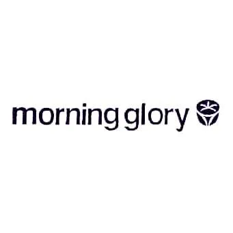 MORNING GLORY