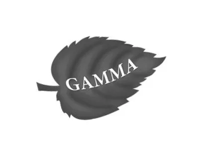 GAMMA