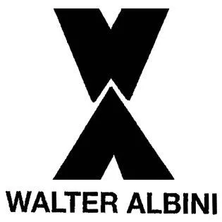 WALTER ALBINI