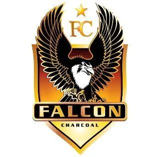 Falcon Charcoal — UAE trademark