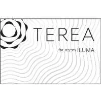 TEREA for IQOS ILUMA