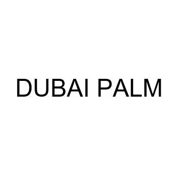 DUBAI PALM