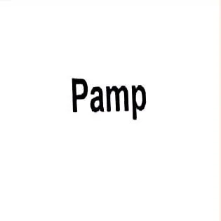 P PAM