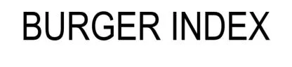 BURGER INDEX — UAE trademark in Class 42