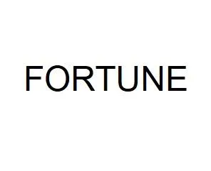 FORTUNE