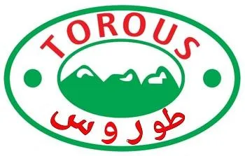 طوروس TOROUS - مع الشكل