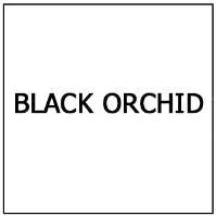 BLACK ORCHID