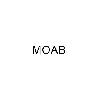 MOAB — UAE trademark, Class 12, No. 463527